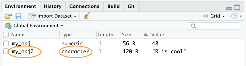 object assignment in r