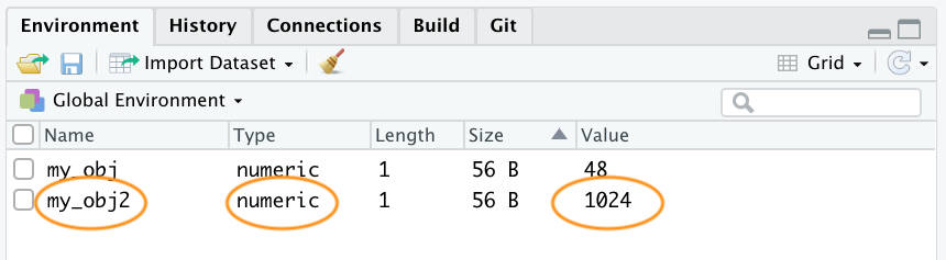 object assignment in r